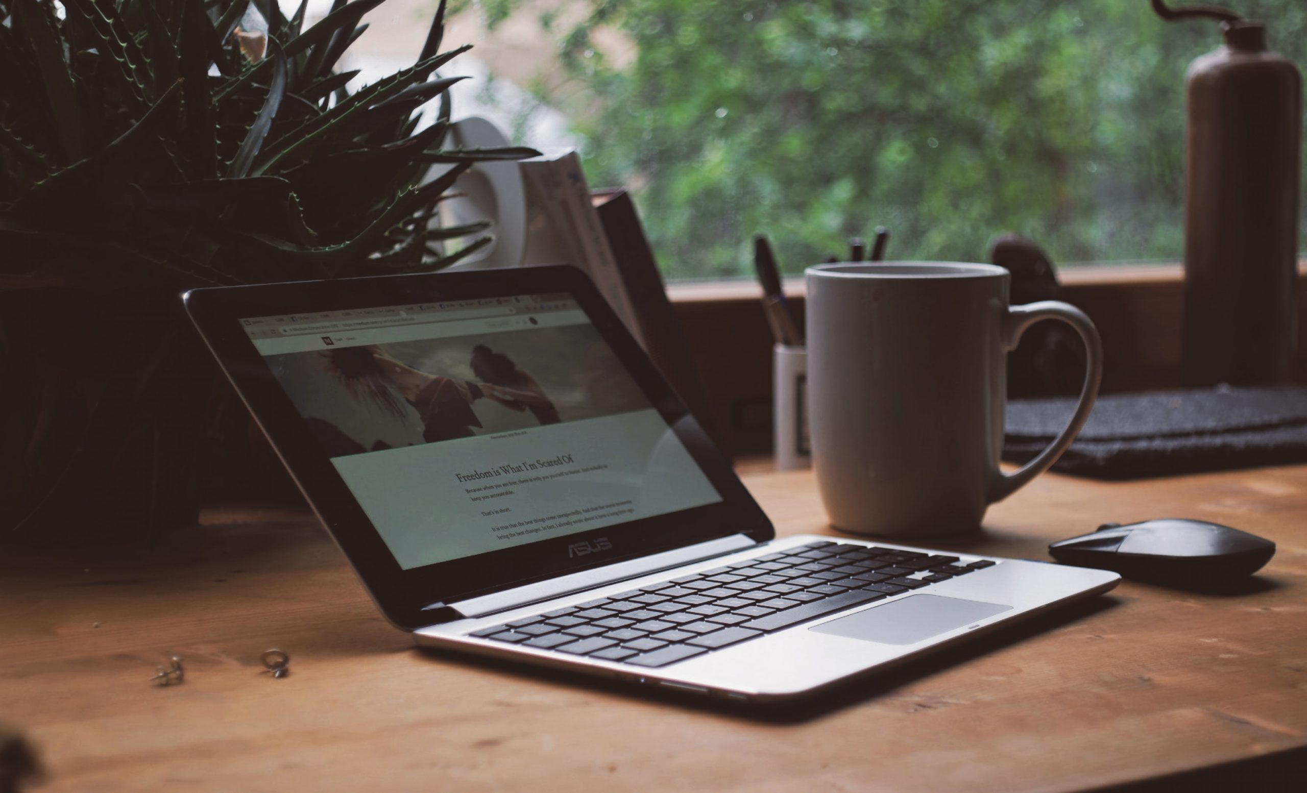 anna-auza-D7Q6JpFleK8-unsplash anna-auza-D7Q6JpFleK8-unsplash